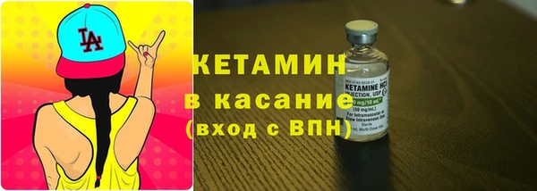 стаф Арсеньев