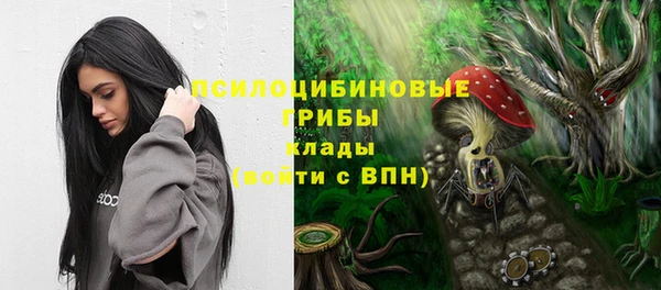 PSILOCYBIN Ростов