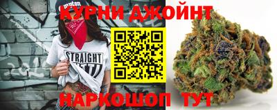 гашик Канаш