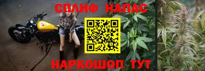 мет Камышлов
