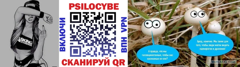KRAKEN tor  Нарткала  Галлюциногенные грибы Psilocybe 