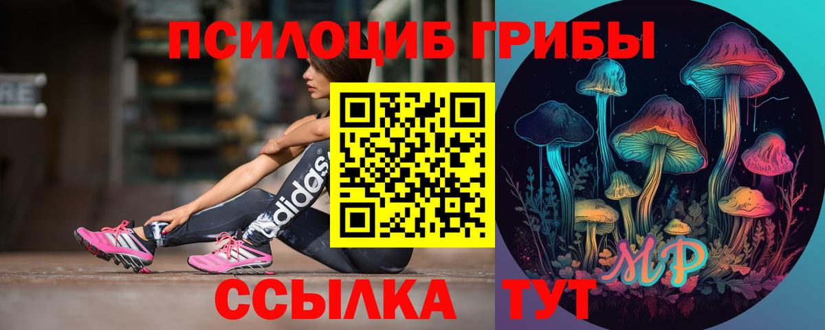 Псилоцибиновые грибы Psilocybine cubensis Нарткала
