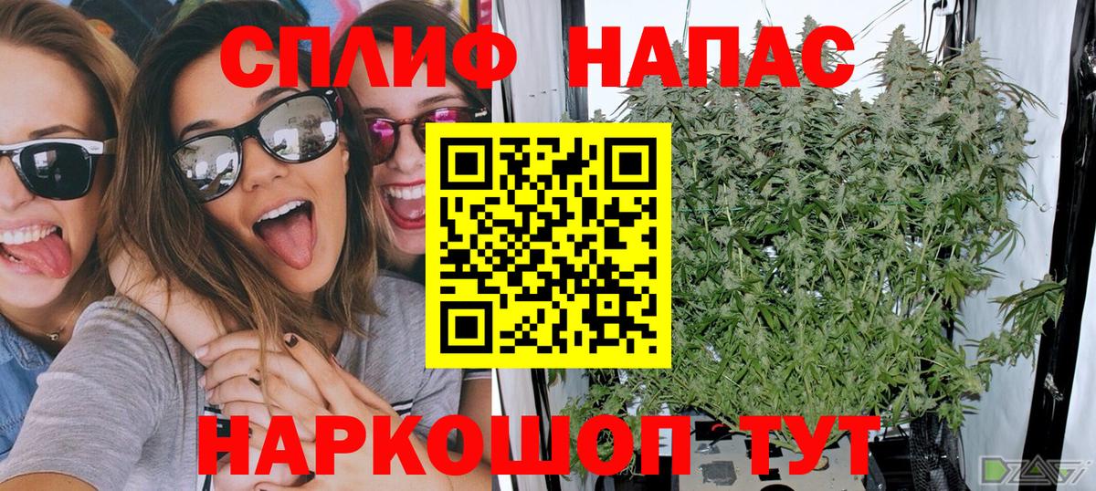 Конопля Bruce Banner Нарткала
